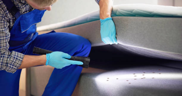 Best Pest Control Near Me  in Kidron, OH